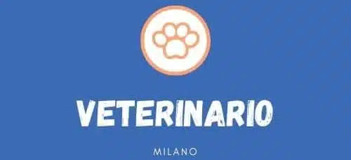 scritta veterinario in stampatello bianca su sfondo blu chiaro e sopra impronta di zampa stilizzata arancione in un cerchio bianco