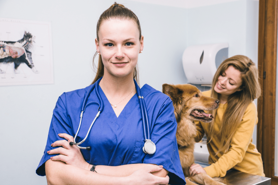 cliniche veterinarie notturne